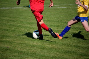 xingkong.com-NBA球员训练计划优化设计，nba运动员训练计划